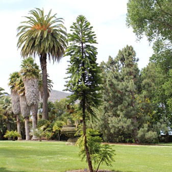 stratum title management tassie